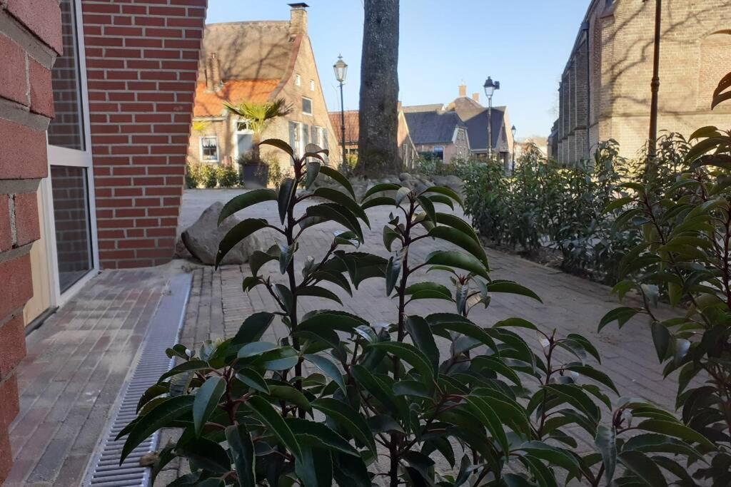 Brinkzicht Diever, Appartement Bert Esterno foto